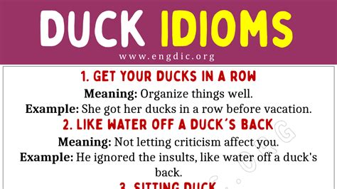 odd ducks meaning|Definitions & examples for the idiom: odd duck .